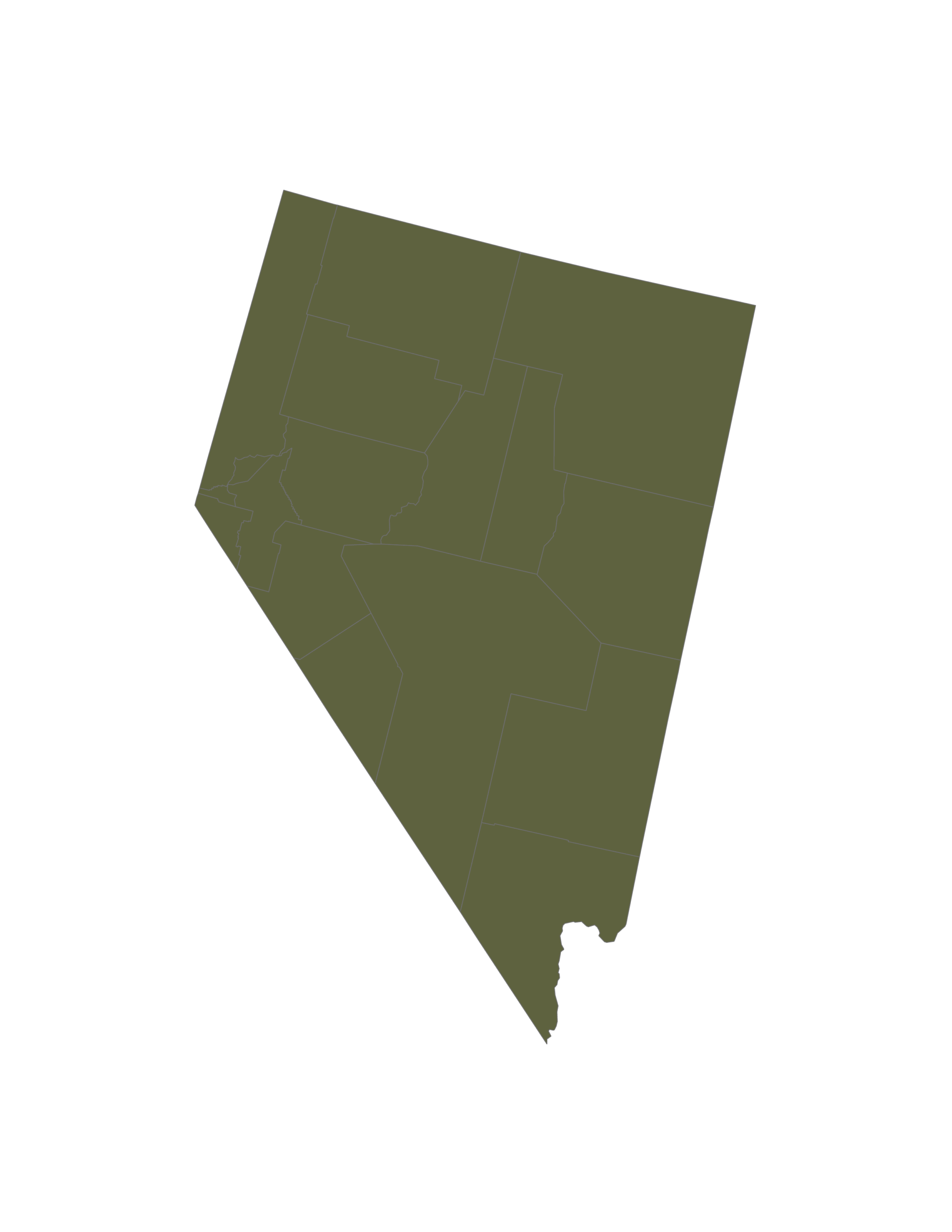 compressed_conversion_therapy_nv