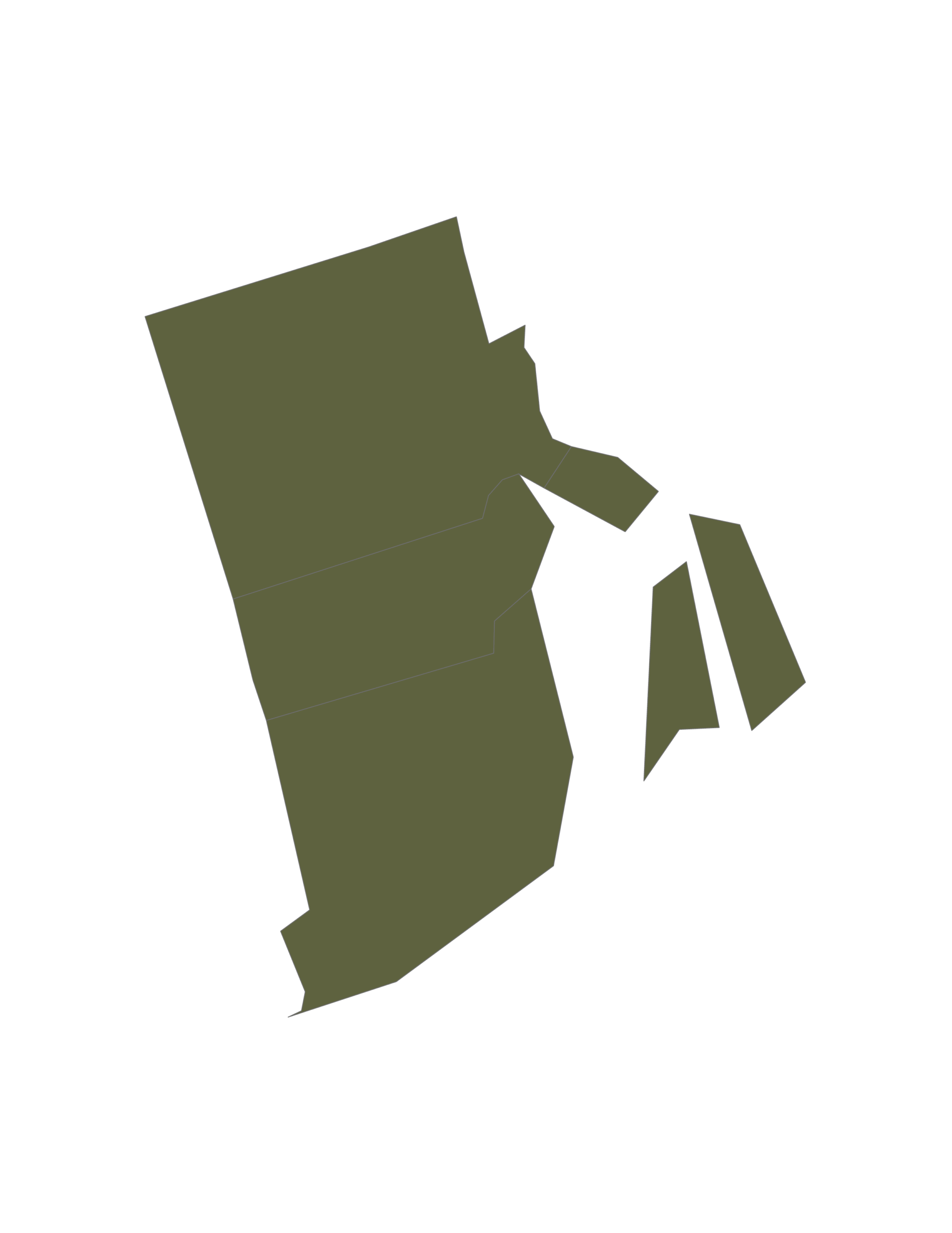 compressed_conversion_therapy_ri