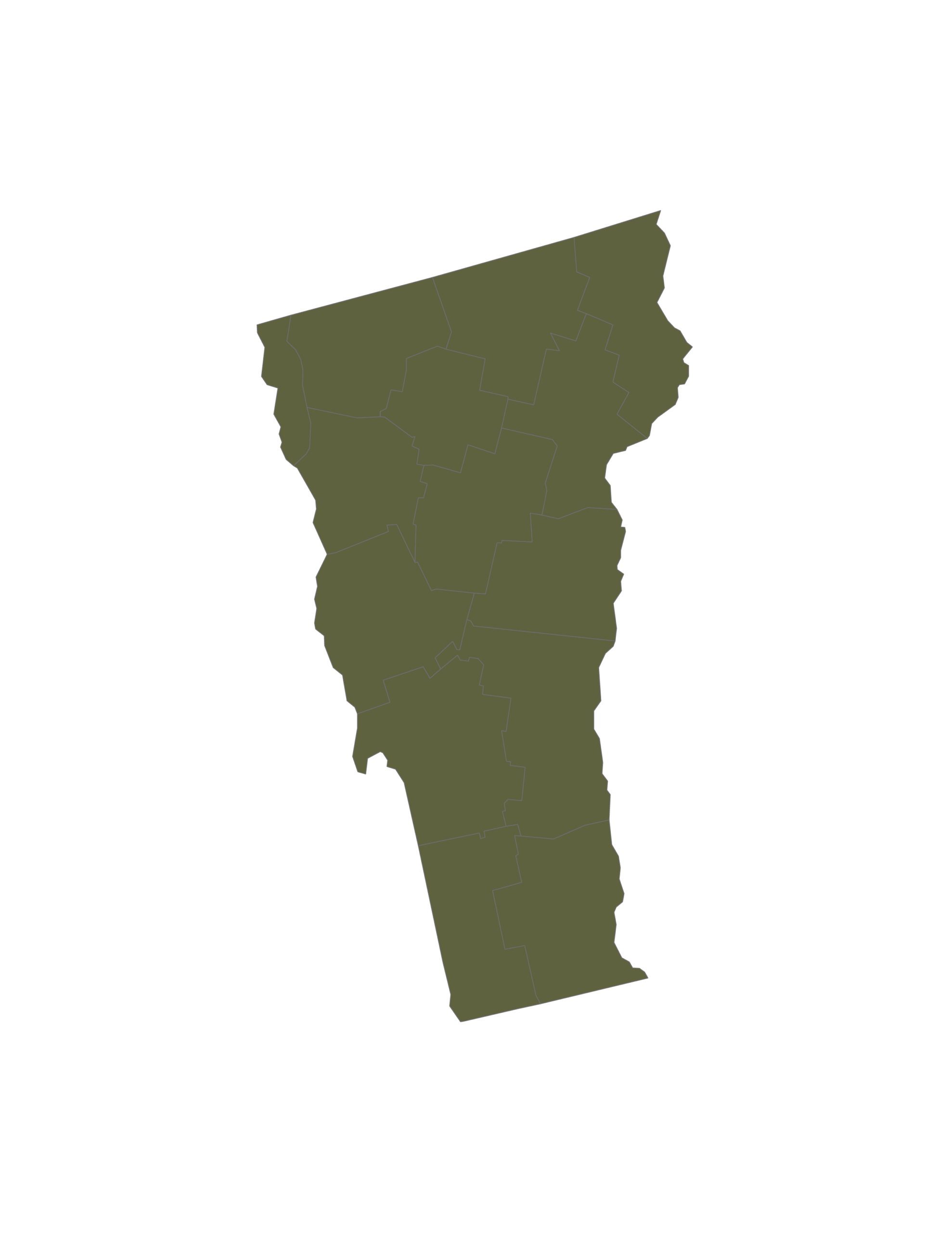 compressed_conversion_therapy_vt